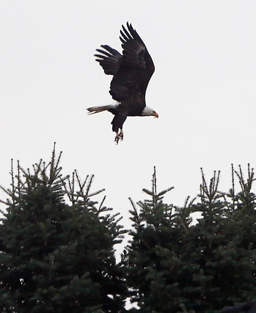 Orange County News Round Up Sept. 9