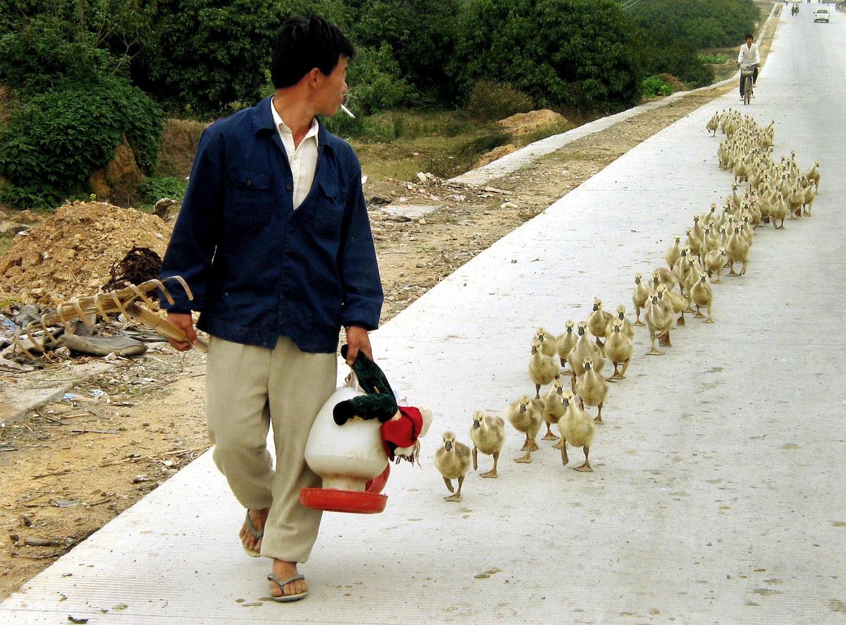 Why McKinsey Is Still Bullish On China—And Why They Are Wrong