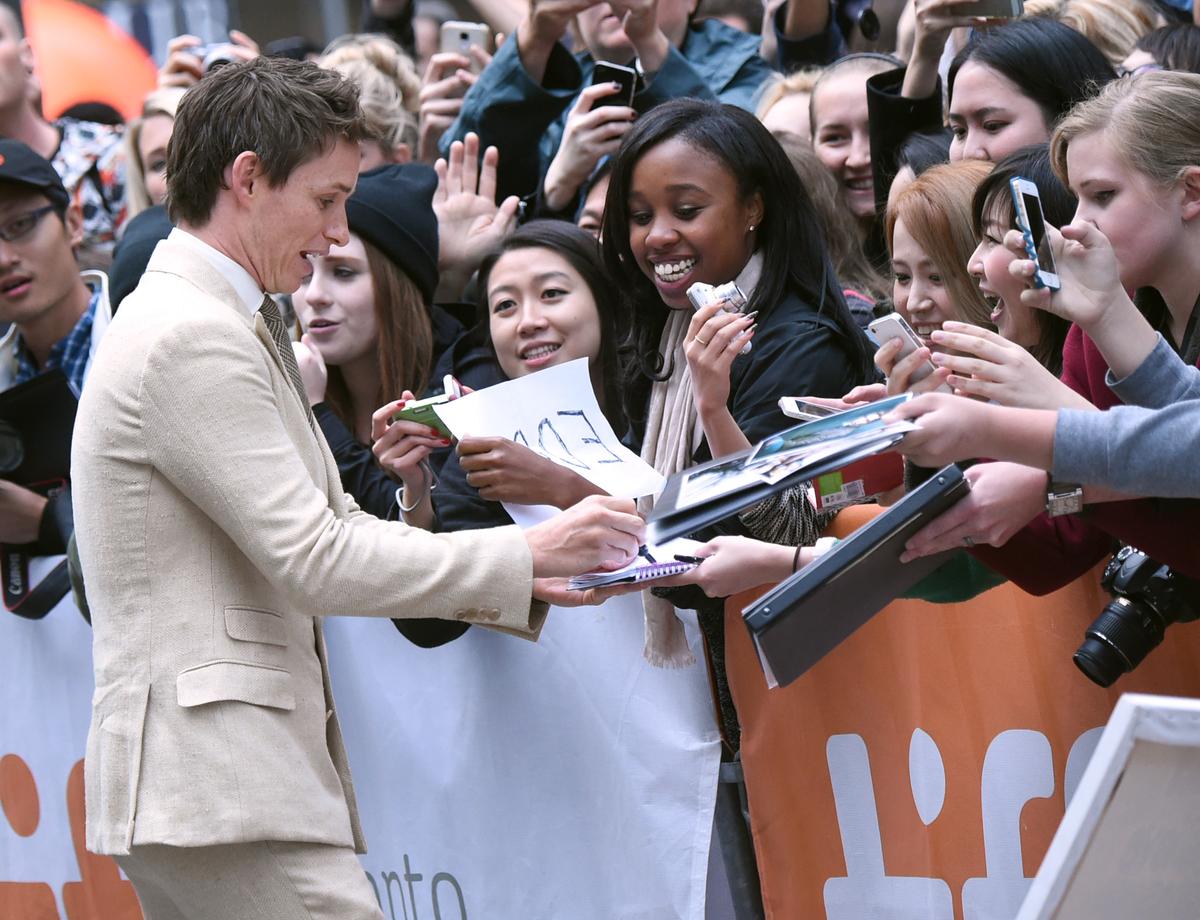 The 7 Movies to See From the Toronto Film Festival