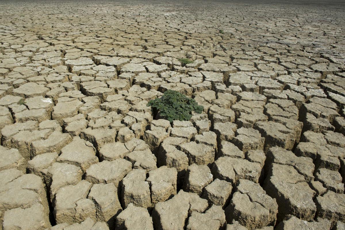 The Tropical Steam-Engine: How Does El Niño Warm the Entire Globe?