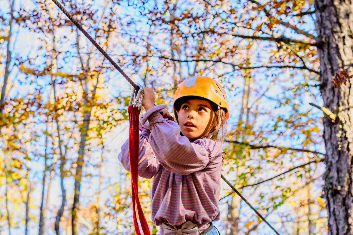 Researchers Chart a Rapid Rise in Ziplining Injuries