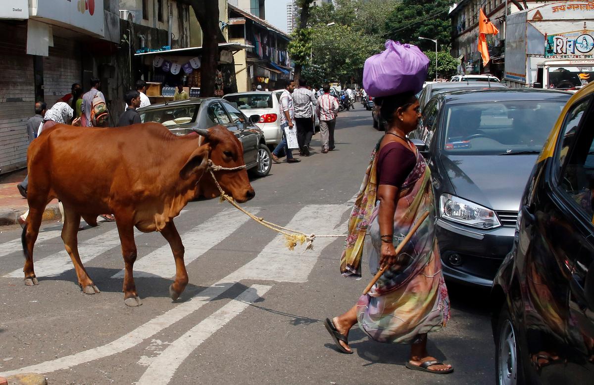 With Hindu Party Leading India, Beef Grows More Political
