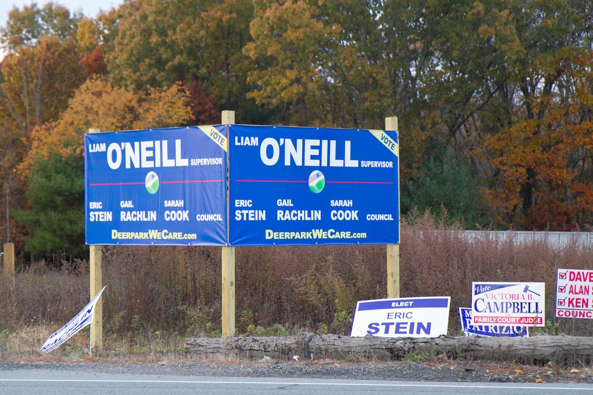 Deerpark Democrats Signs Go Missing Night before Election