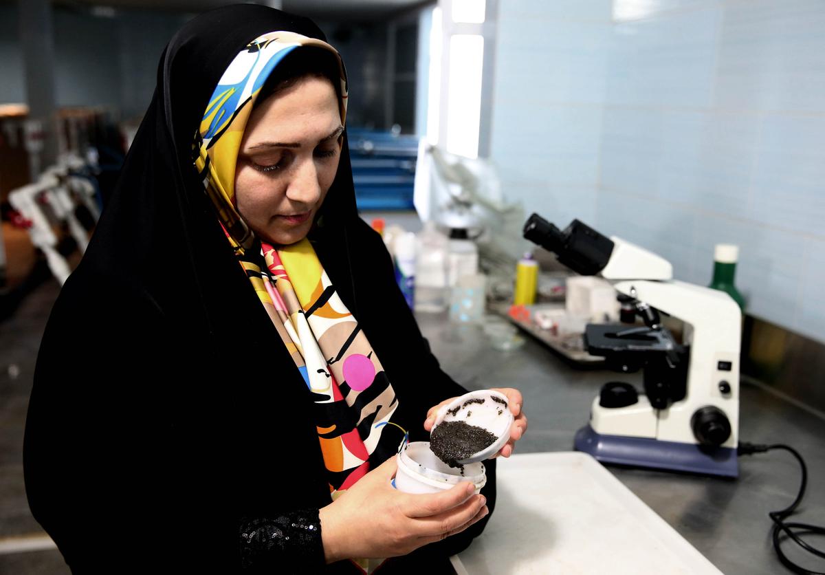 Iran Seeks Revival of Caviar Industry in Post-Sanctions Era
