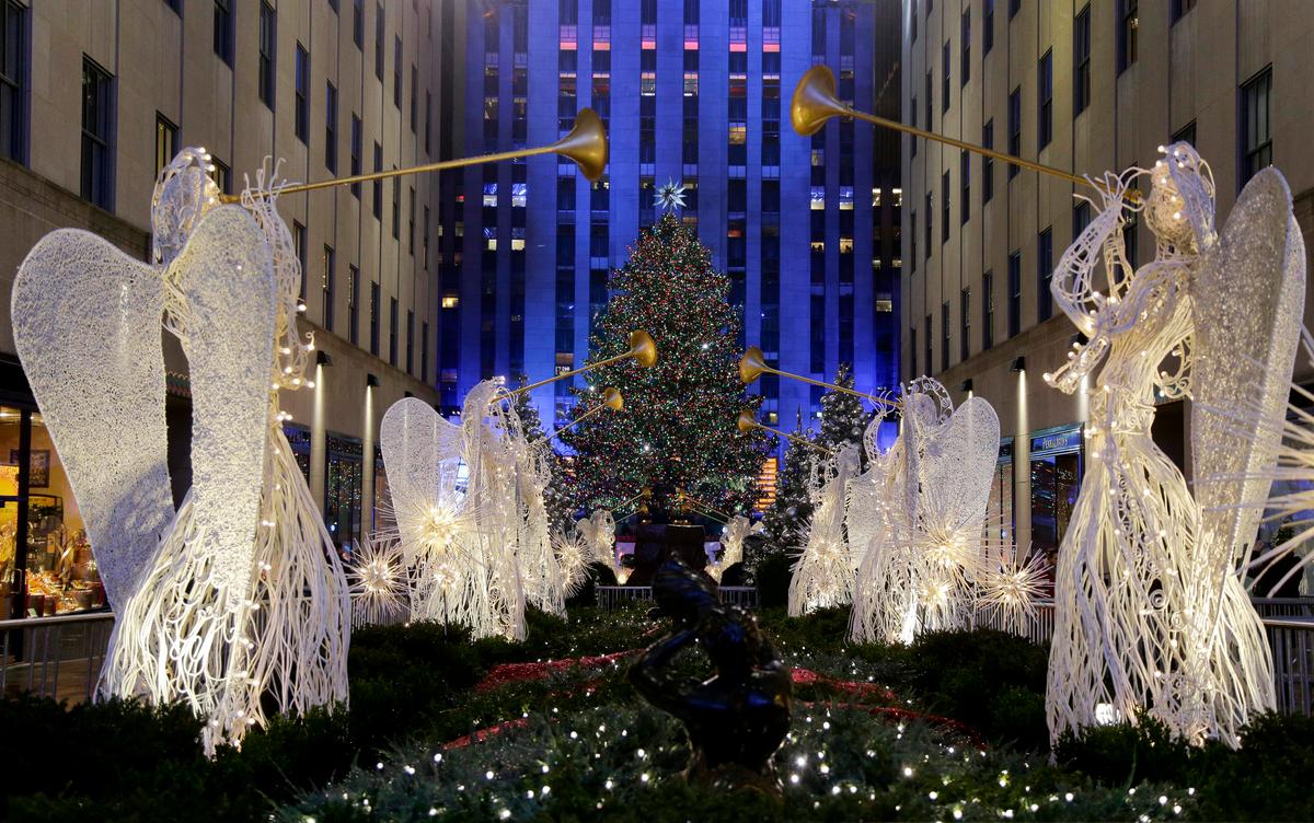 80-foot Norway Spruce Gets Nod as Rockefeller Center Christmas Tree, Will Be Cut Down Next Week