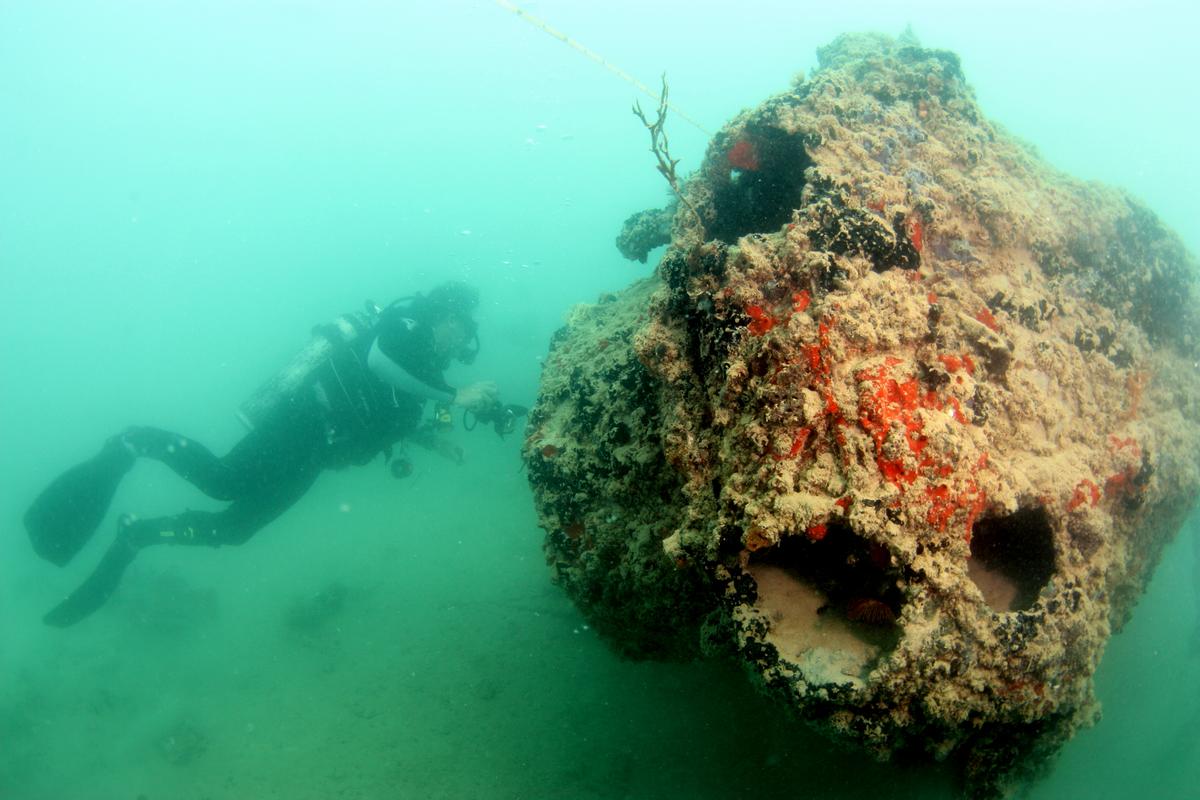 New Underwater Photos Show U.S. Navy Seaplane Lost in Pearl Harbor Attack