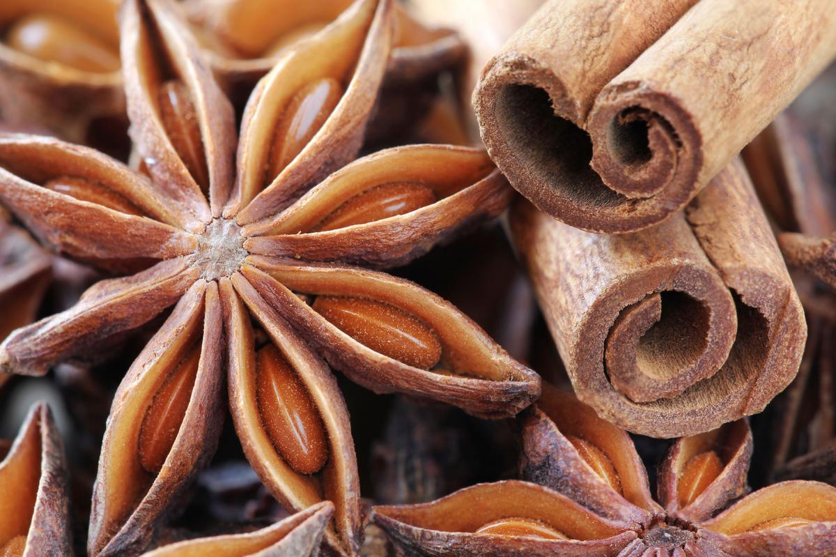 Essential Oils Support Physical and Emotional Well-Being