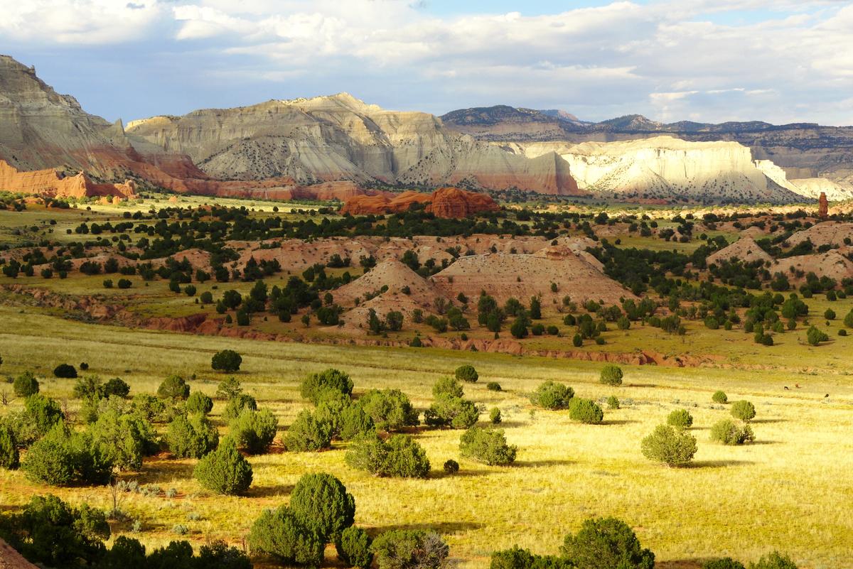 Federal Control of Western Land: Two Perspectives