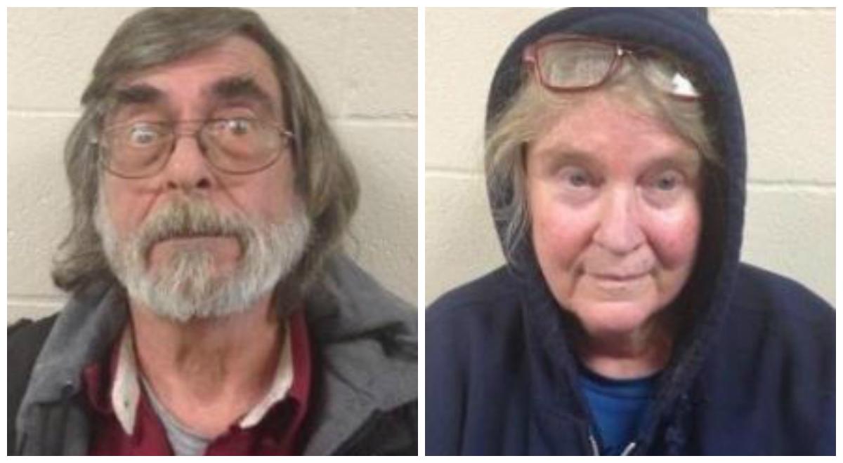 Over 600 Animals Removed From Shelter in North Carolina After Raid