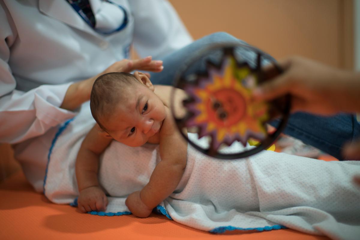 Lab Study Supports Linking Zika Virus to Brain Birth Defect
