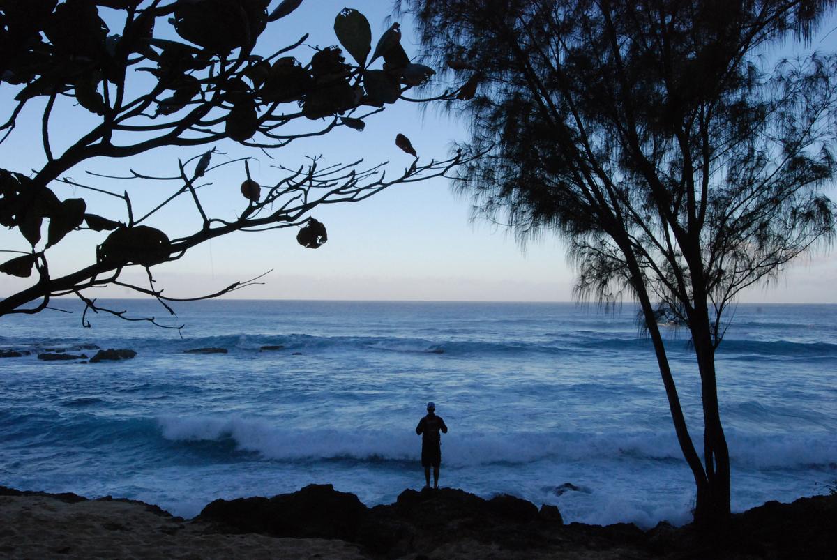 Hawaii’s Big-Wave Surf Competition Called Off