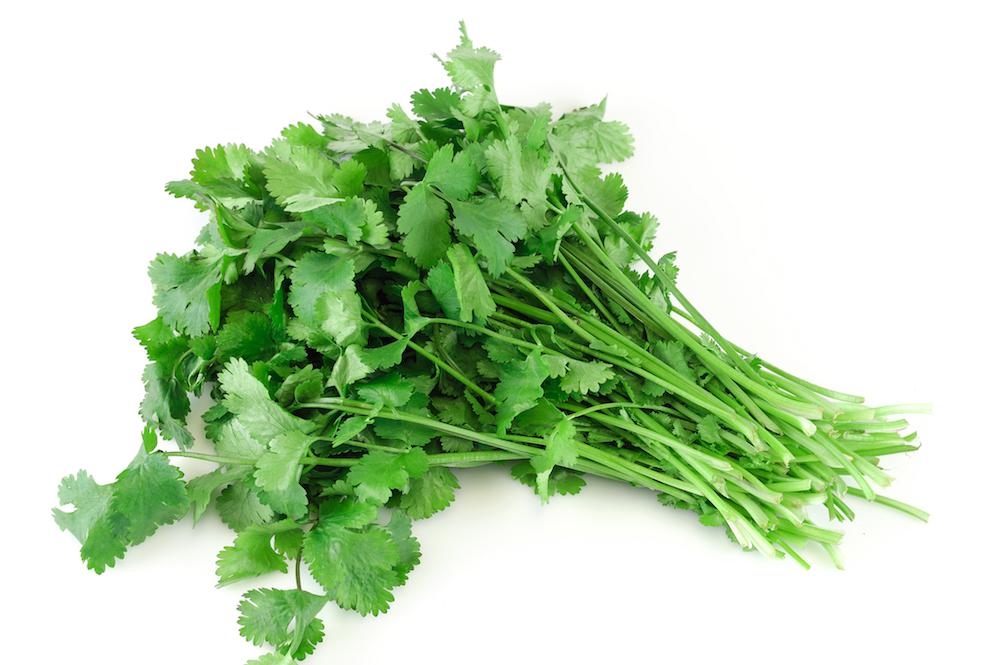Coriander can remove heavy metals such as aluminum, mercury, and lead from the body. (ND700/shutterstock)