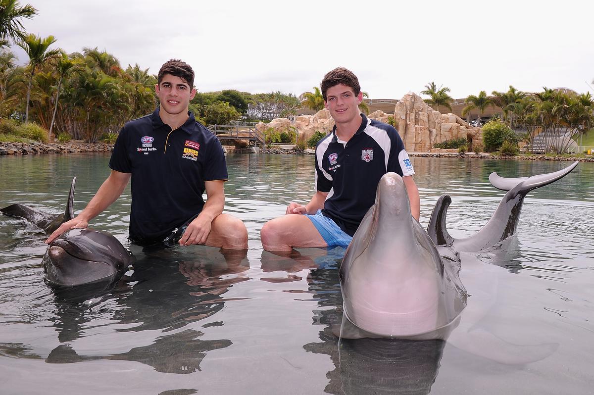 SeaWorld Admits Its Employees Posed as Animal Rights Activists to Infiltrate Groups