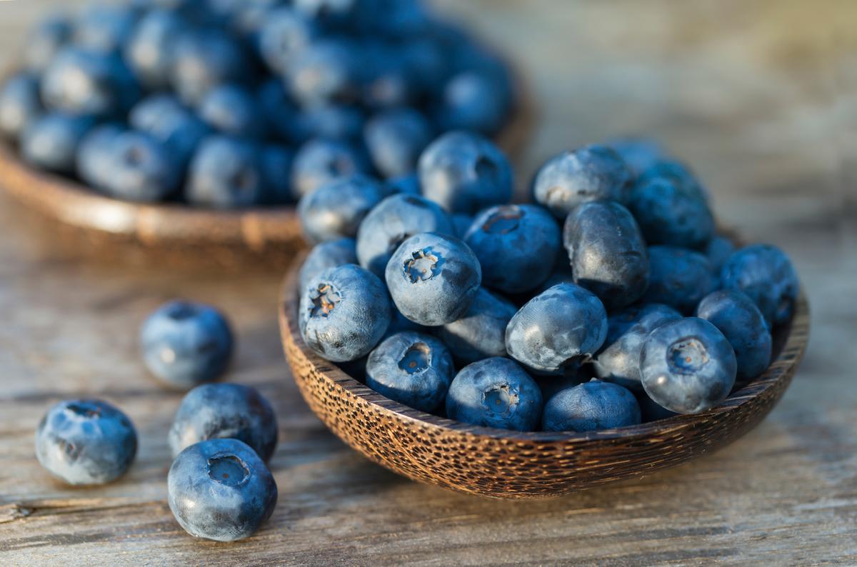 Study Finds One Cup of Blueberries per Day Lowers Risk for Cardiovascular Disease