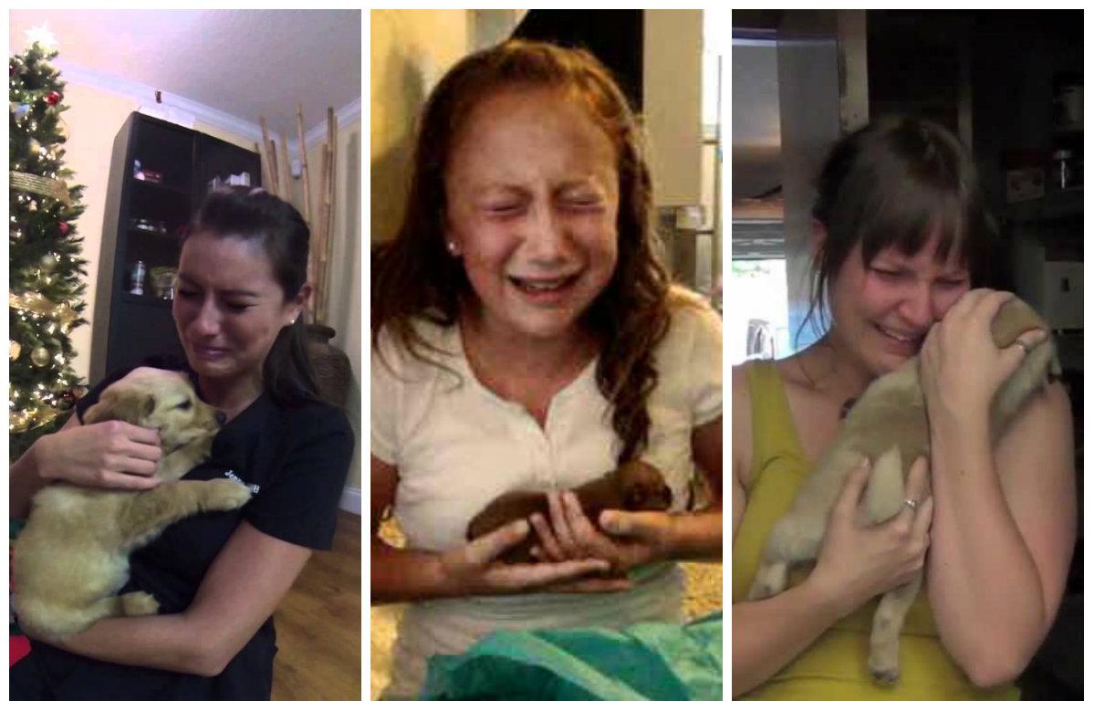 When People Receive Puppies, Something Magical Happens