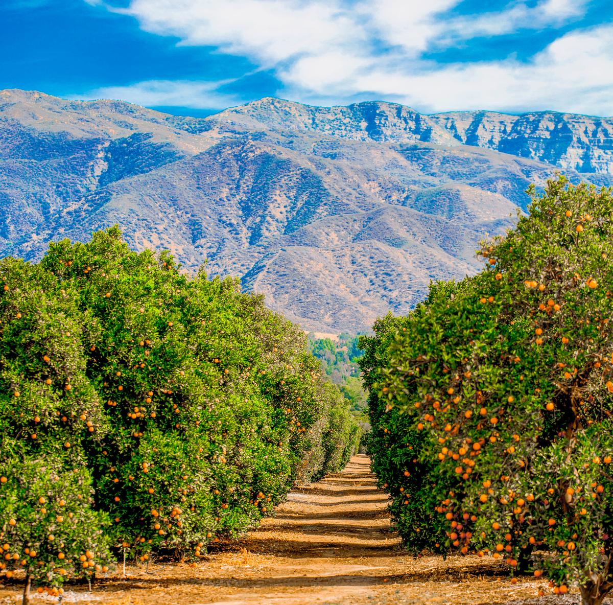 Tiny House Costs a Tiny Amount