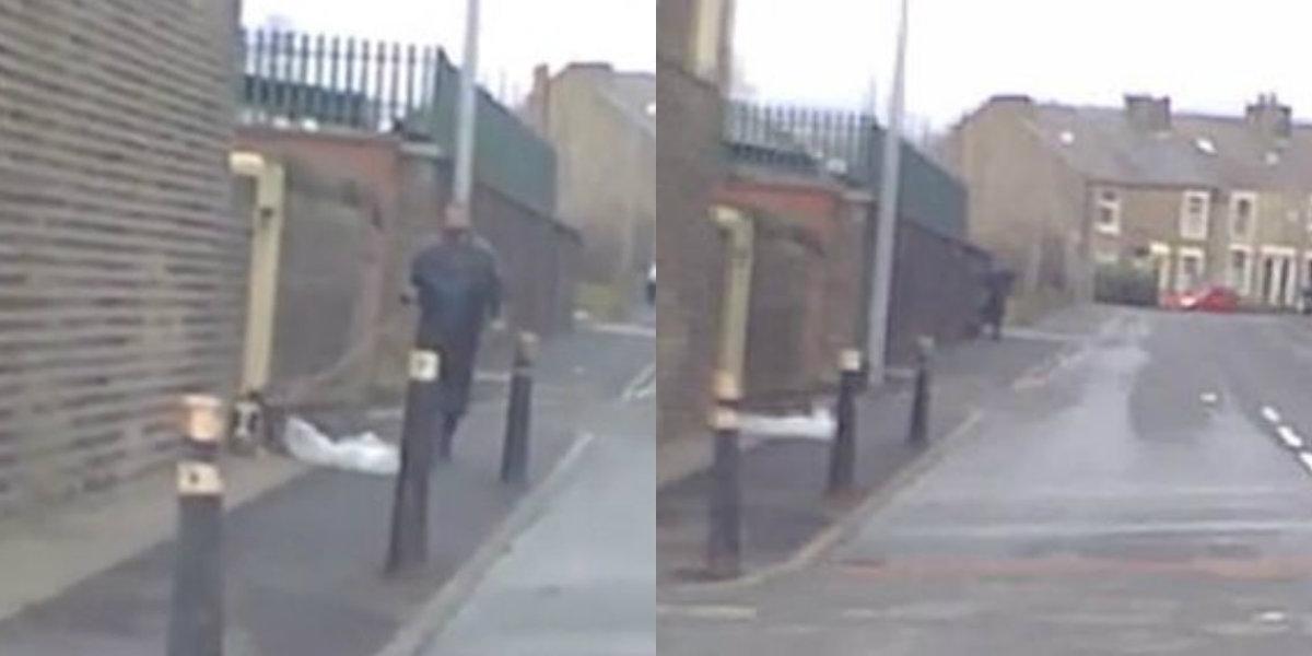 Man Captured Violently Kicking, Stomping Dog on the Street