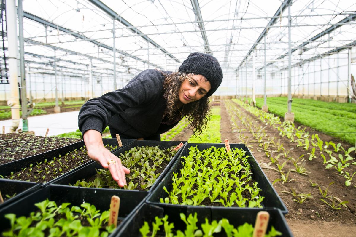 Why Our Health Depends on the Soil