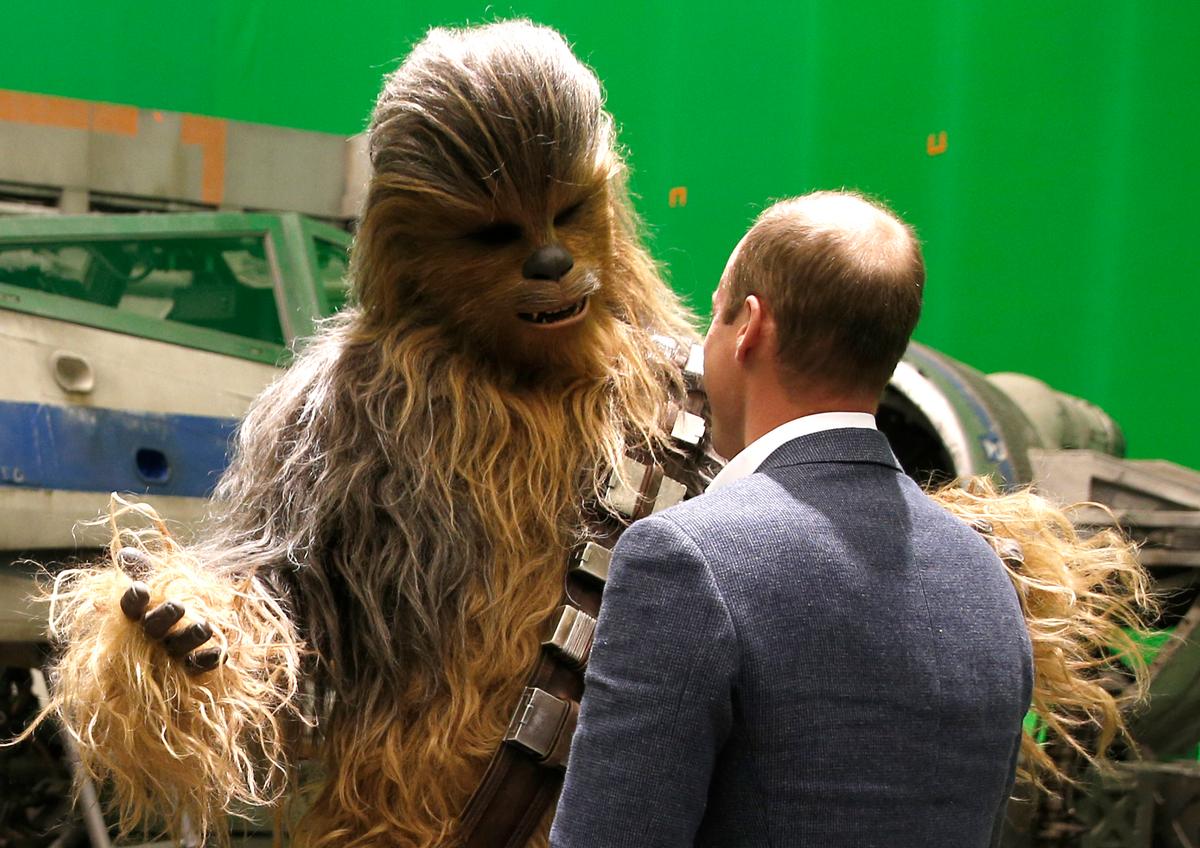 New Species of Weevil Named After Chewbacca From ‘Star Wars’