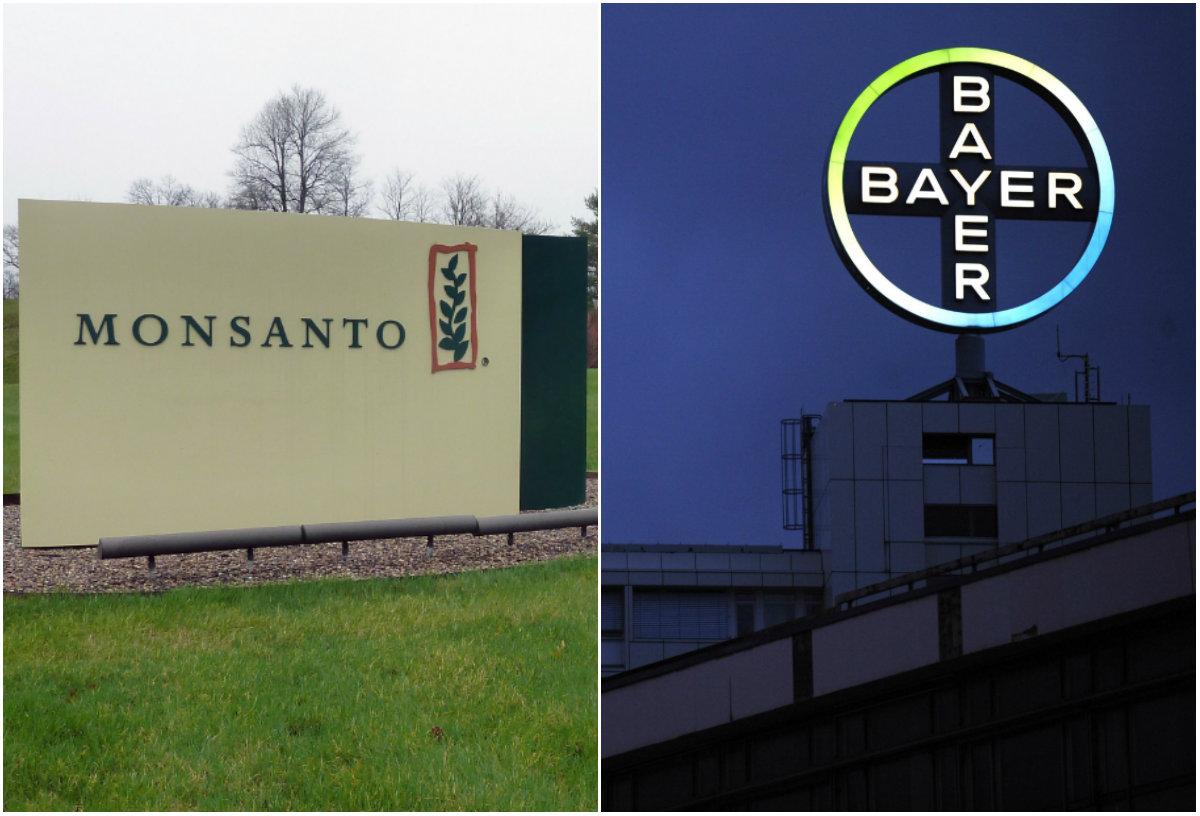 Bayer Considers Monsanto Takeover, May Sell Assets to Finance It: Report