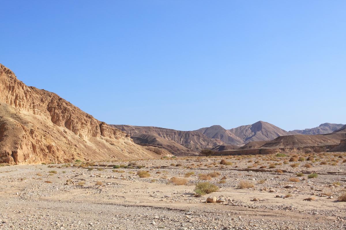 Grandpa Jailed After Leaving 5-Year-Old Granddaughter Stranded in Desert With Loaded Gun