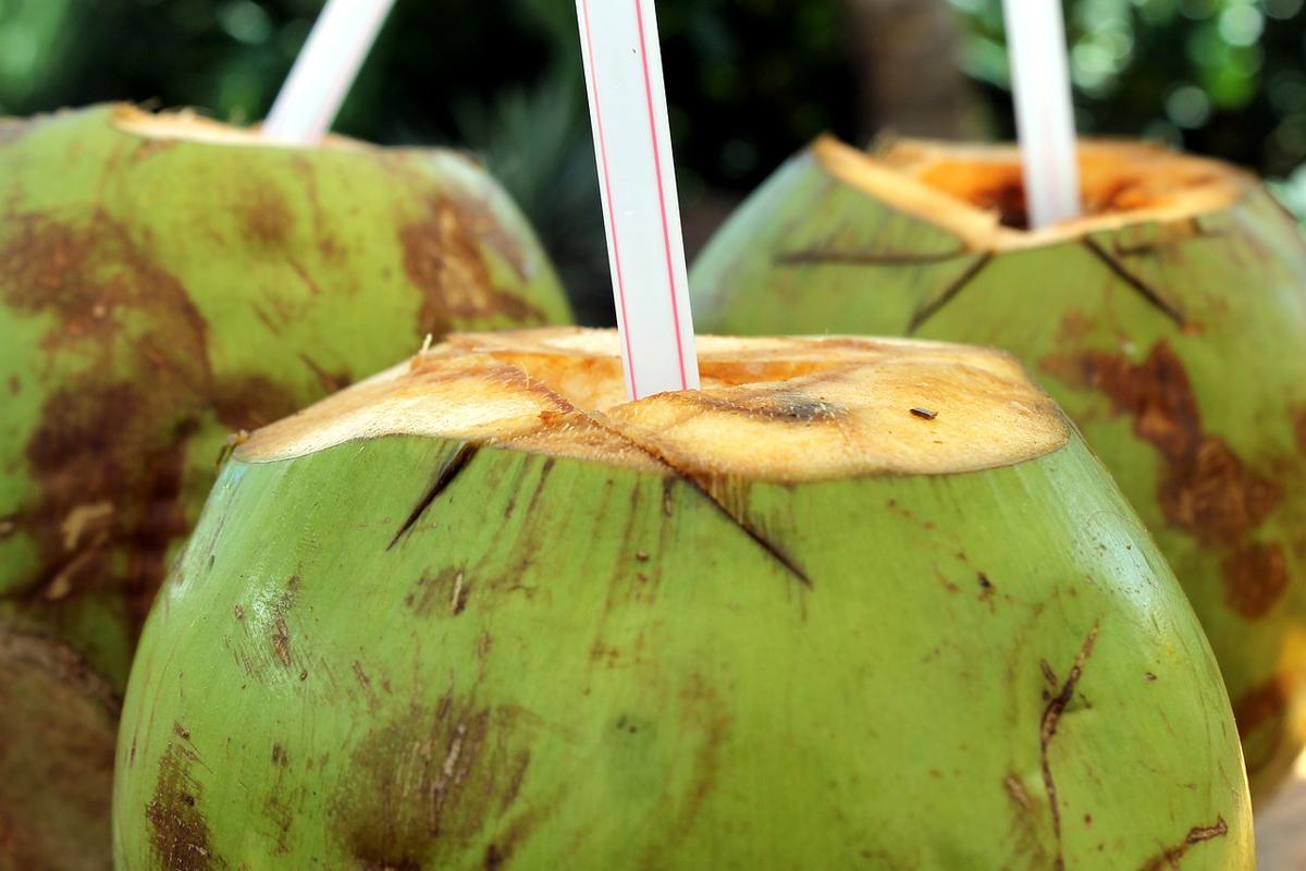 Coconut Water: A New Alzheimer’s Disease Treatment?