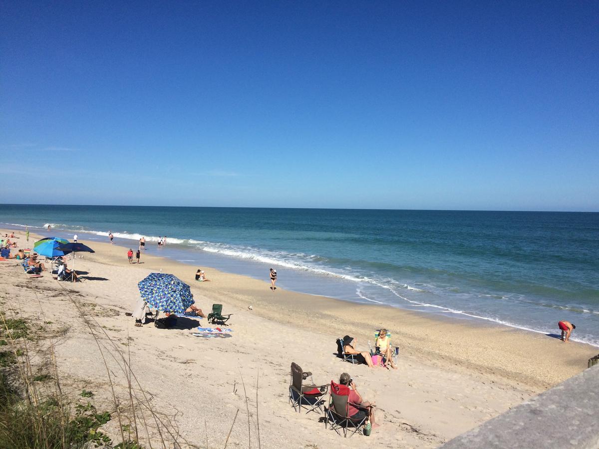 Woman Bitten By Shark at Florida’s Vero Beach