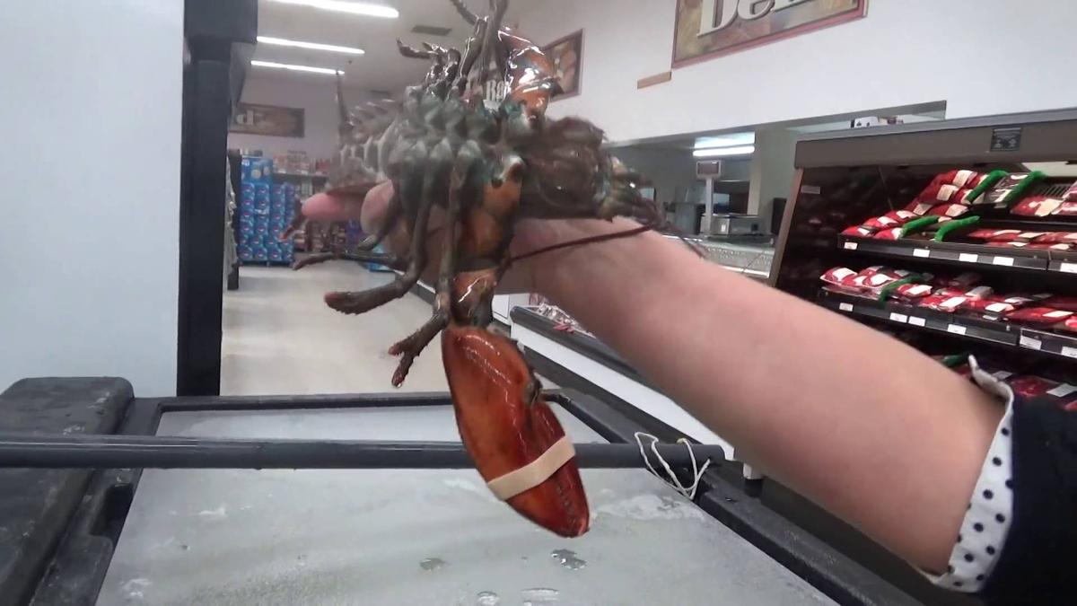 Woman Buys Lobster in Supermarket, Takes It on a Journey Back to the Sea