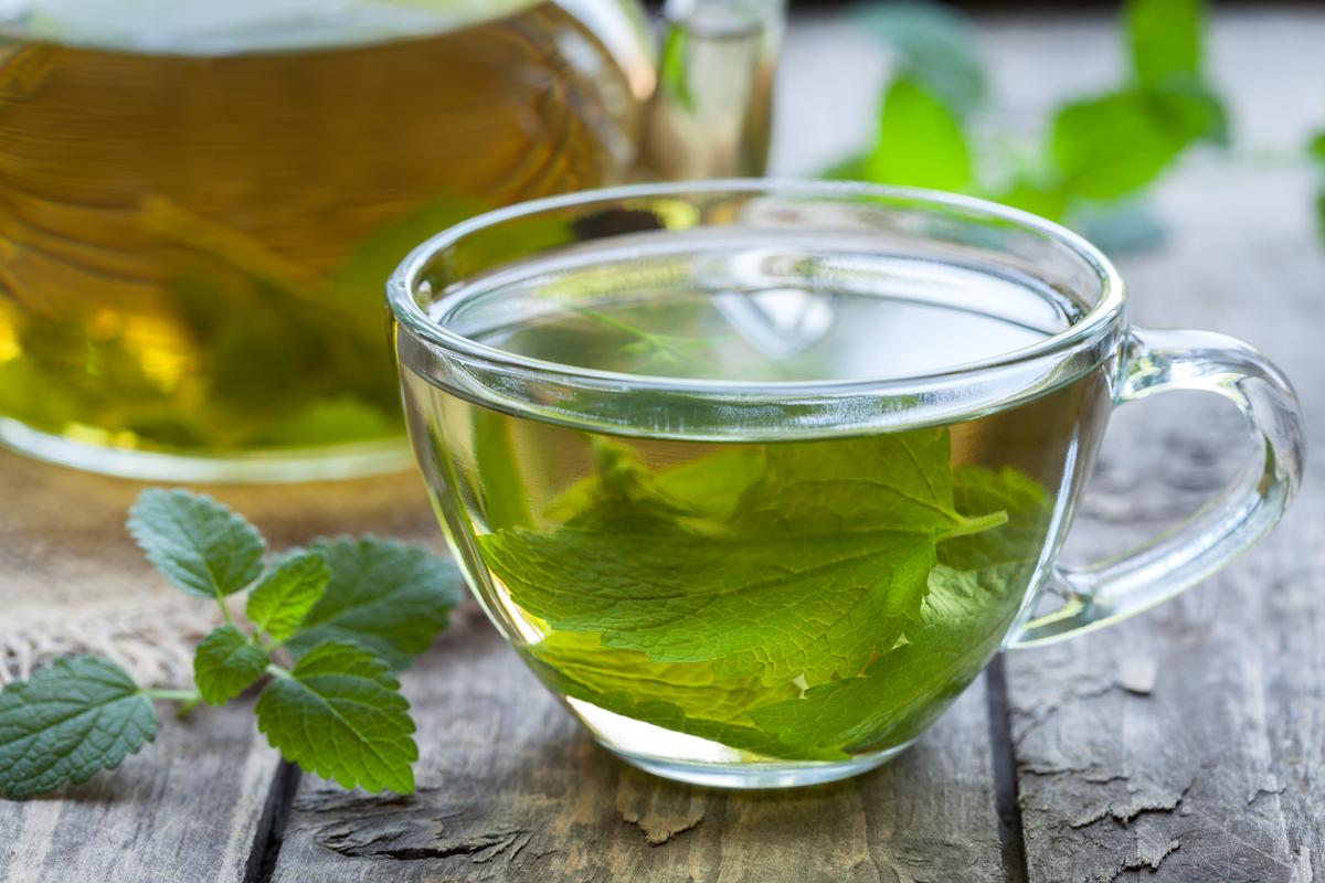 Lemon Balm Tea Helps Lower Blood Pressure
