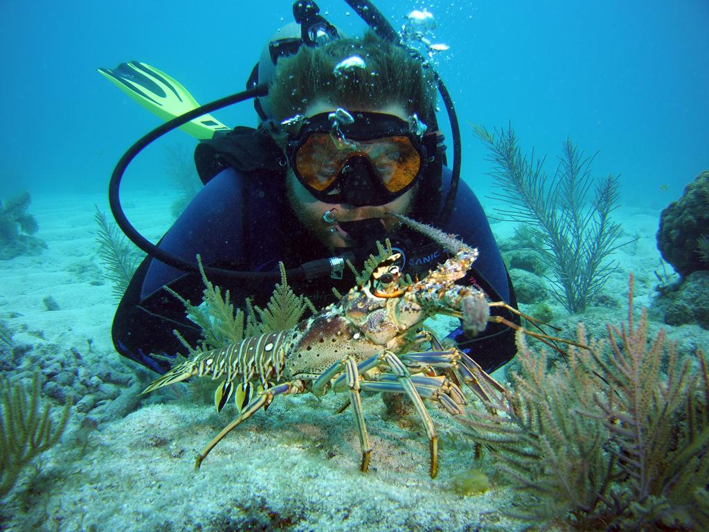Underwater Beauty at Key Largo
