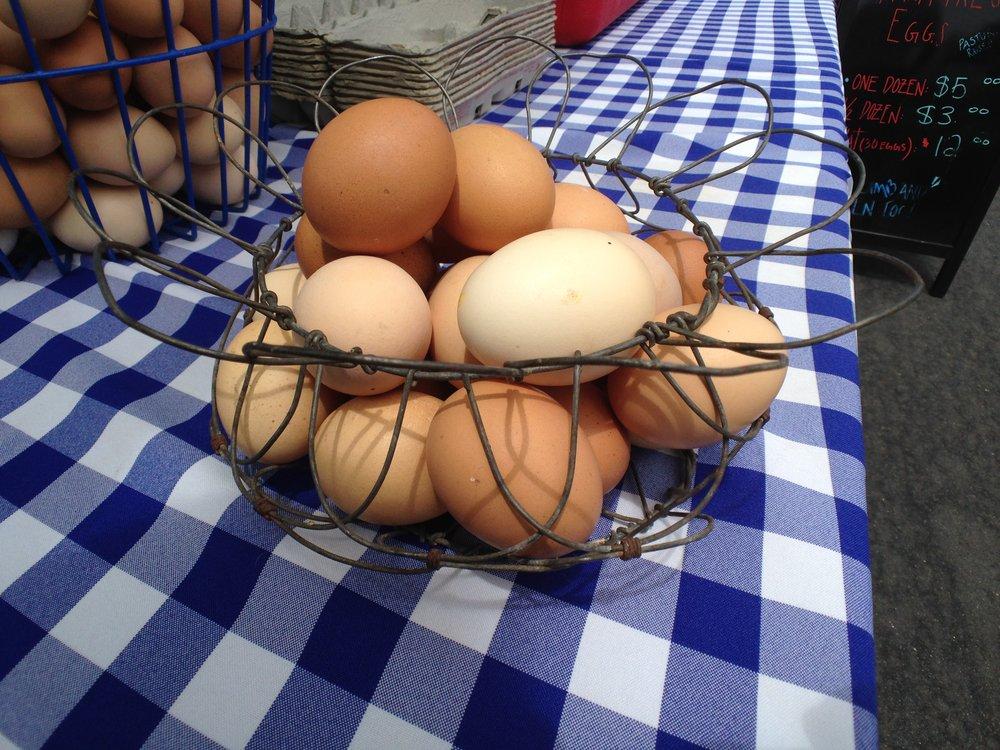 Are Eggs Good or Bad for You? New Research Rekindles Debate