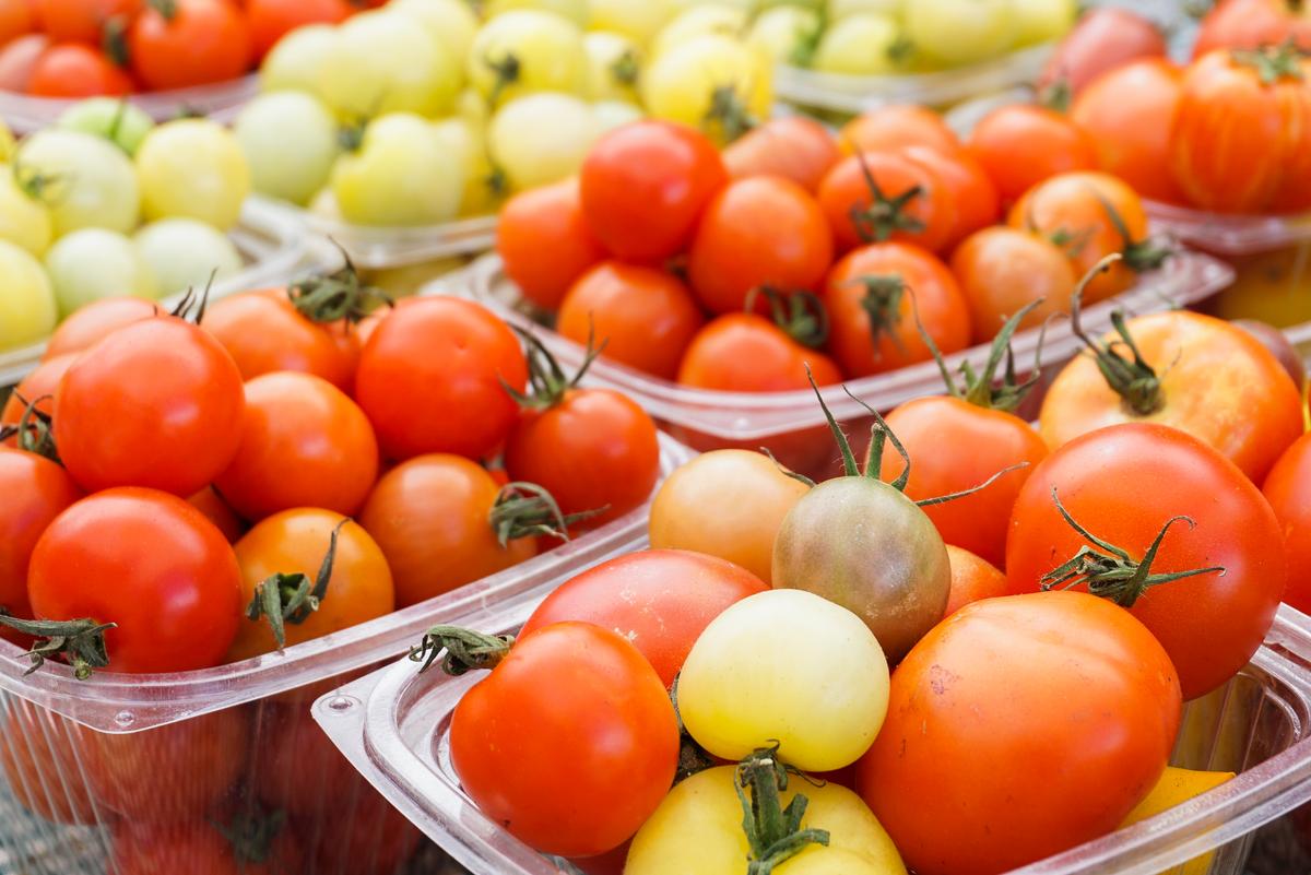 Iowa: A Taste of America’s Heartland