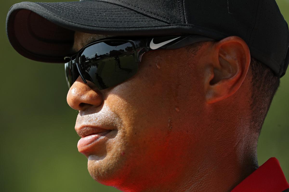 How Much Tiger Is Left in the Tank ?