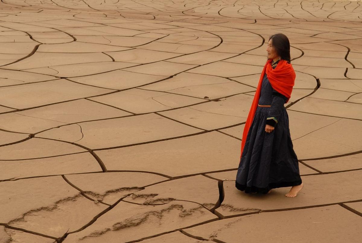 Film Review: ‘The Two Horses of Genghis Khan’