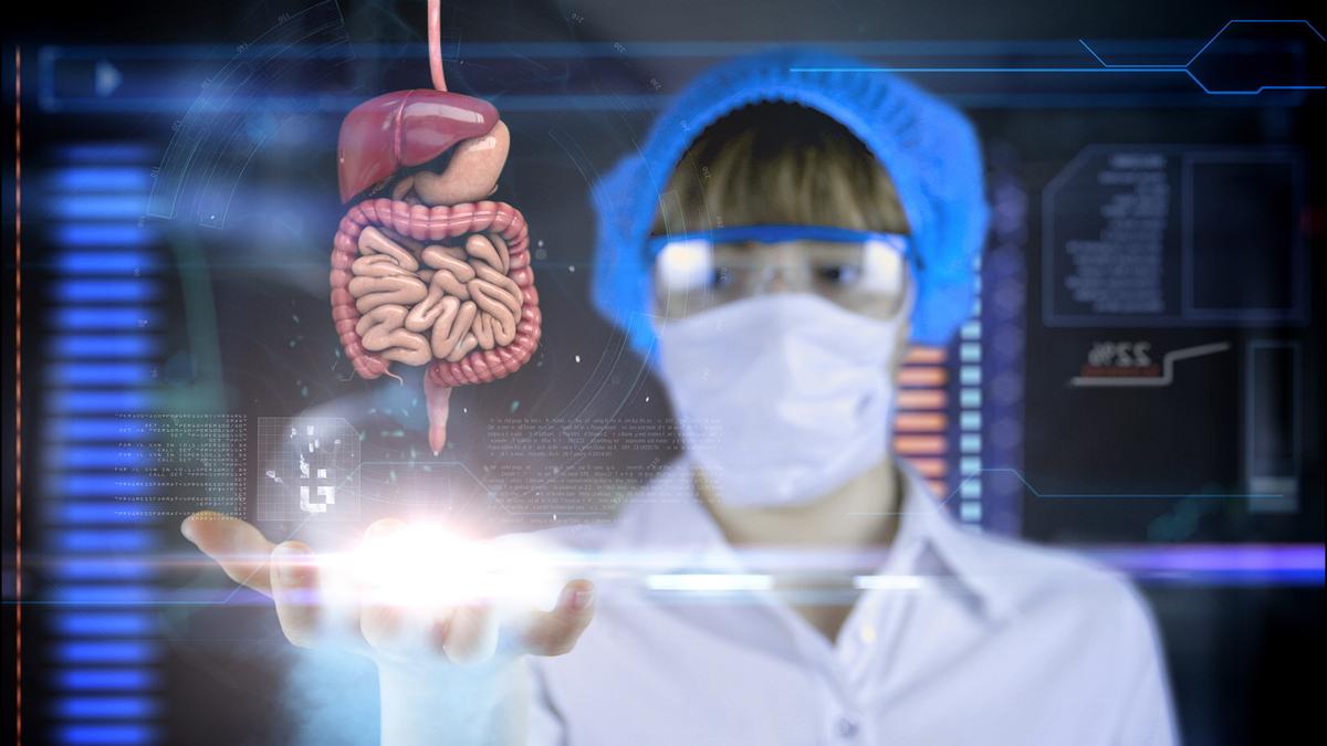 The Fungal Etiology of Inflammatory Bowel Disease