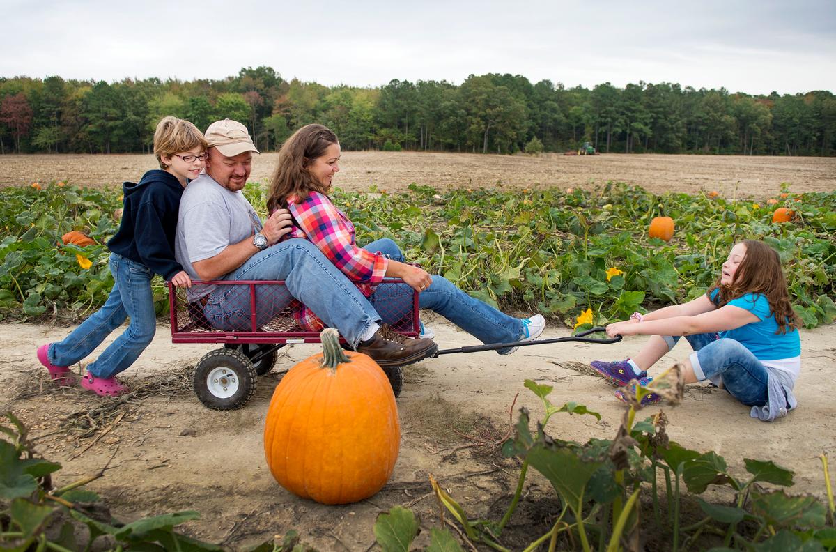 10 Family Fun Ideas to Fall for in October