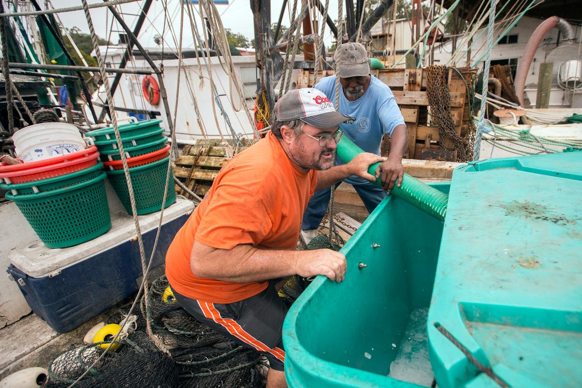Gulf Coast Seafood Biz Slammed by Freshwater From Floods