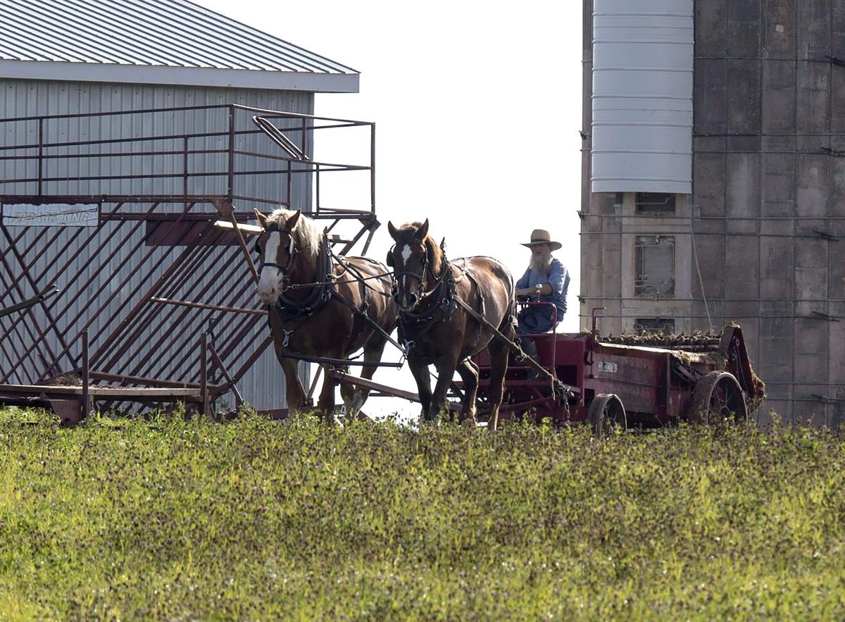 Former Ontario Amish Farmers Find Paradise on PEI