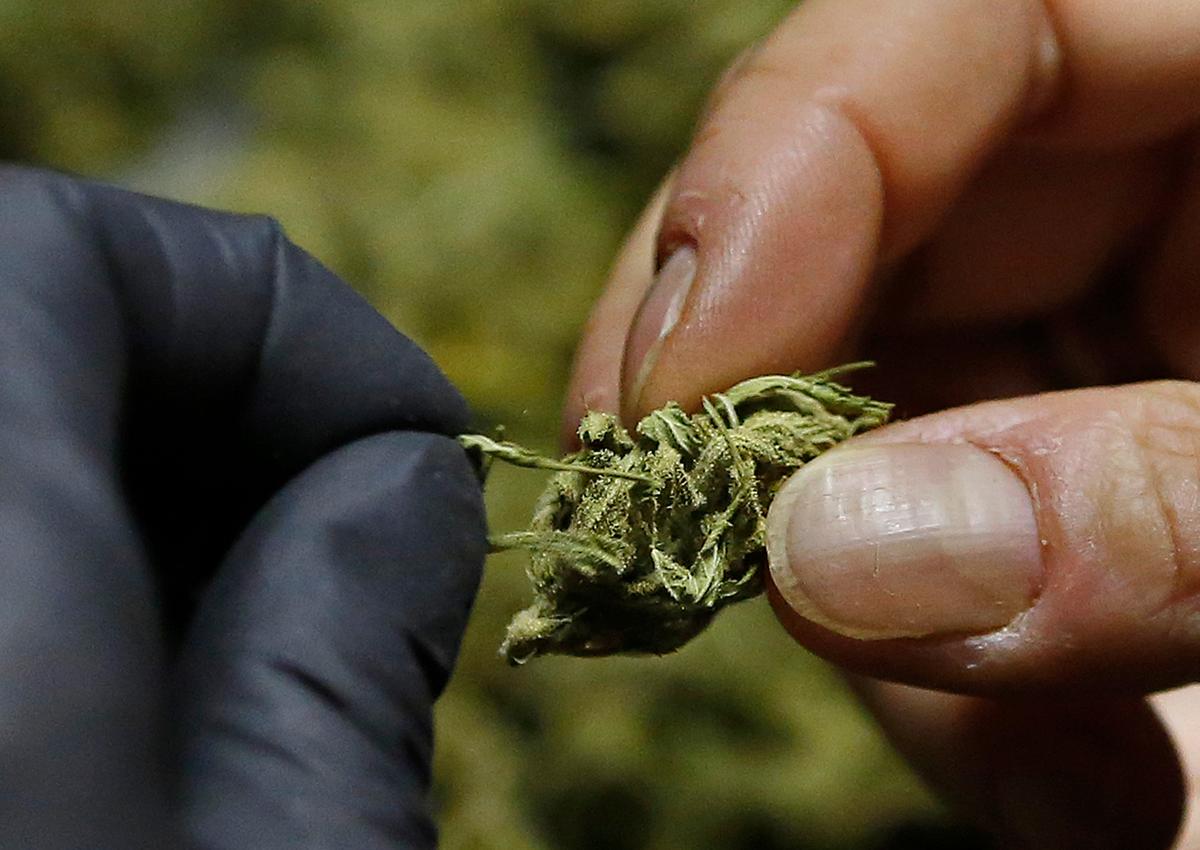 California Voters Approve Recreational Marijuana