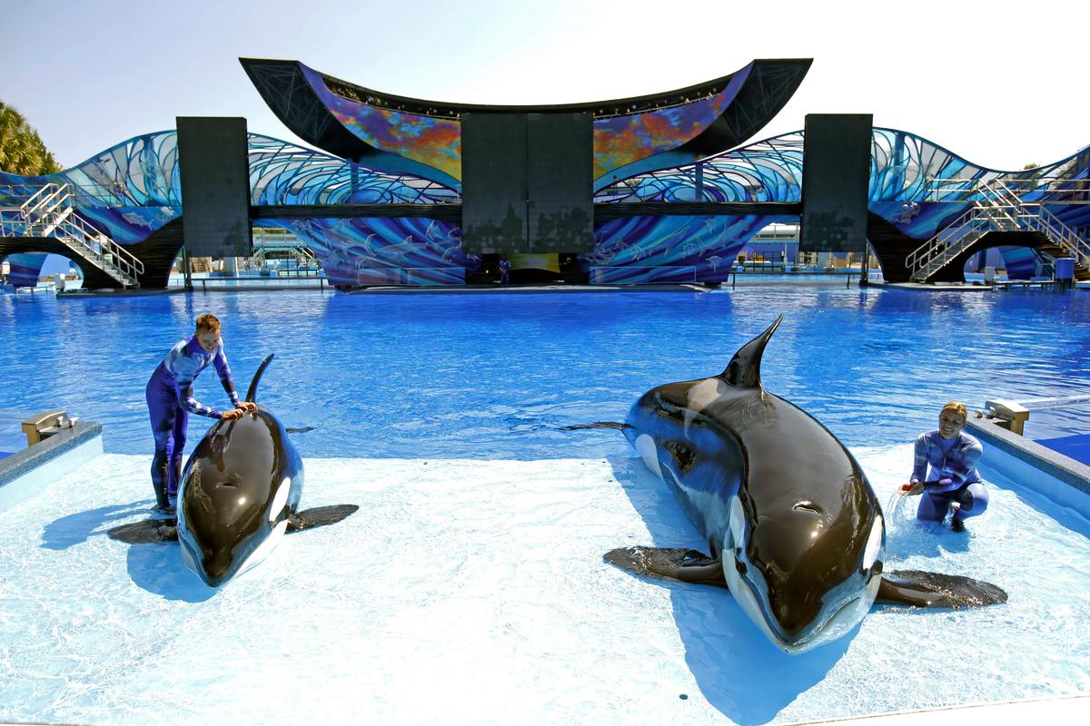 1st SeaWorld Park Without Orcas Opening in Abu Dhabi in 2022