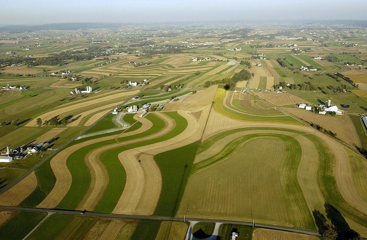 Pennsylvania Man, 89, Heads out to Store, Ends up in Alabama