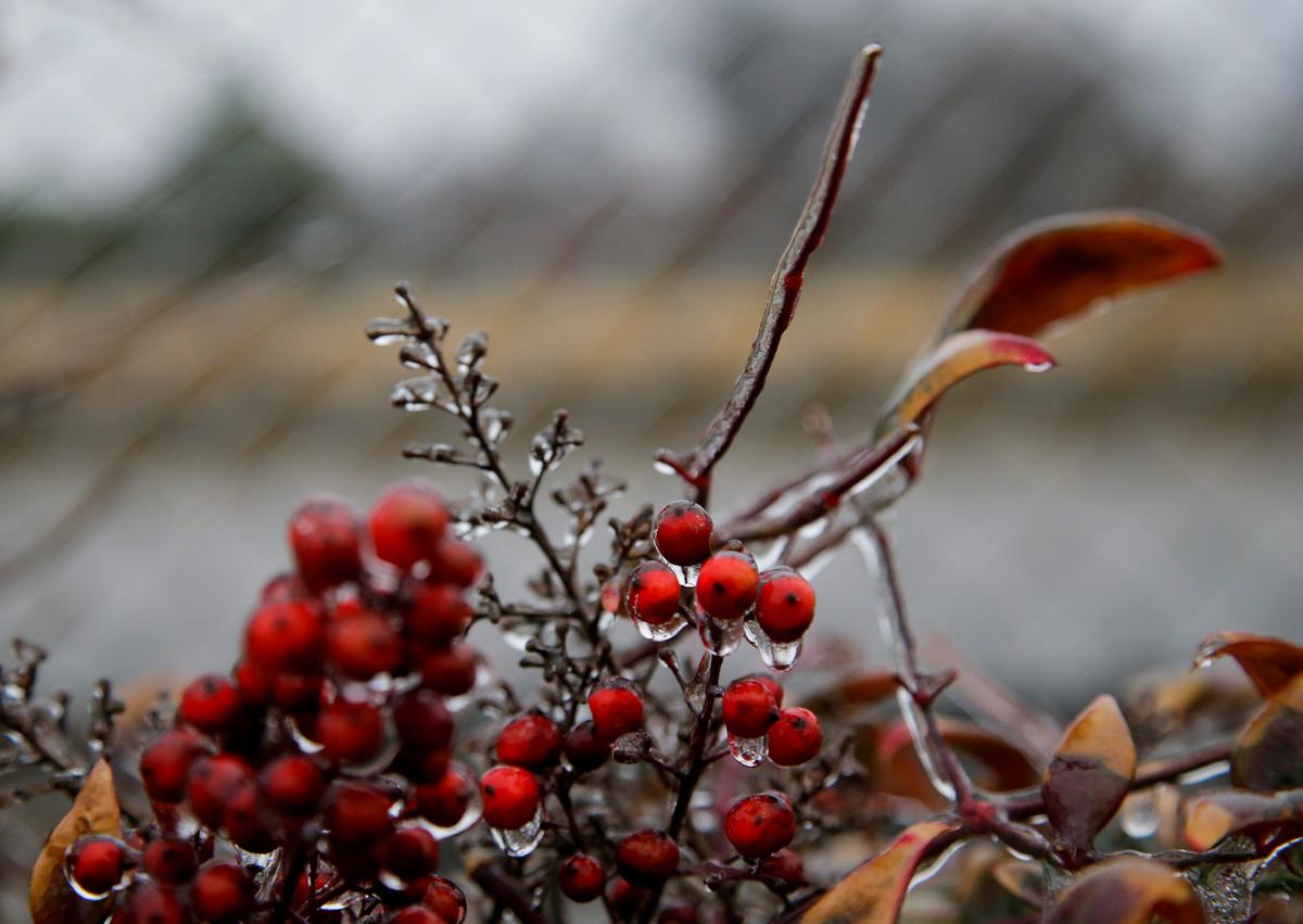 More Freezing Rain, Temperatures Expected for Central US