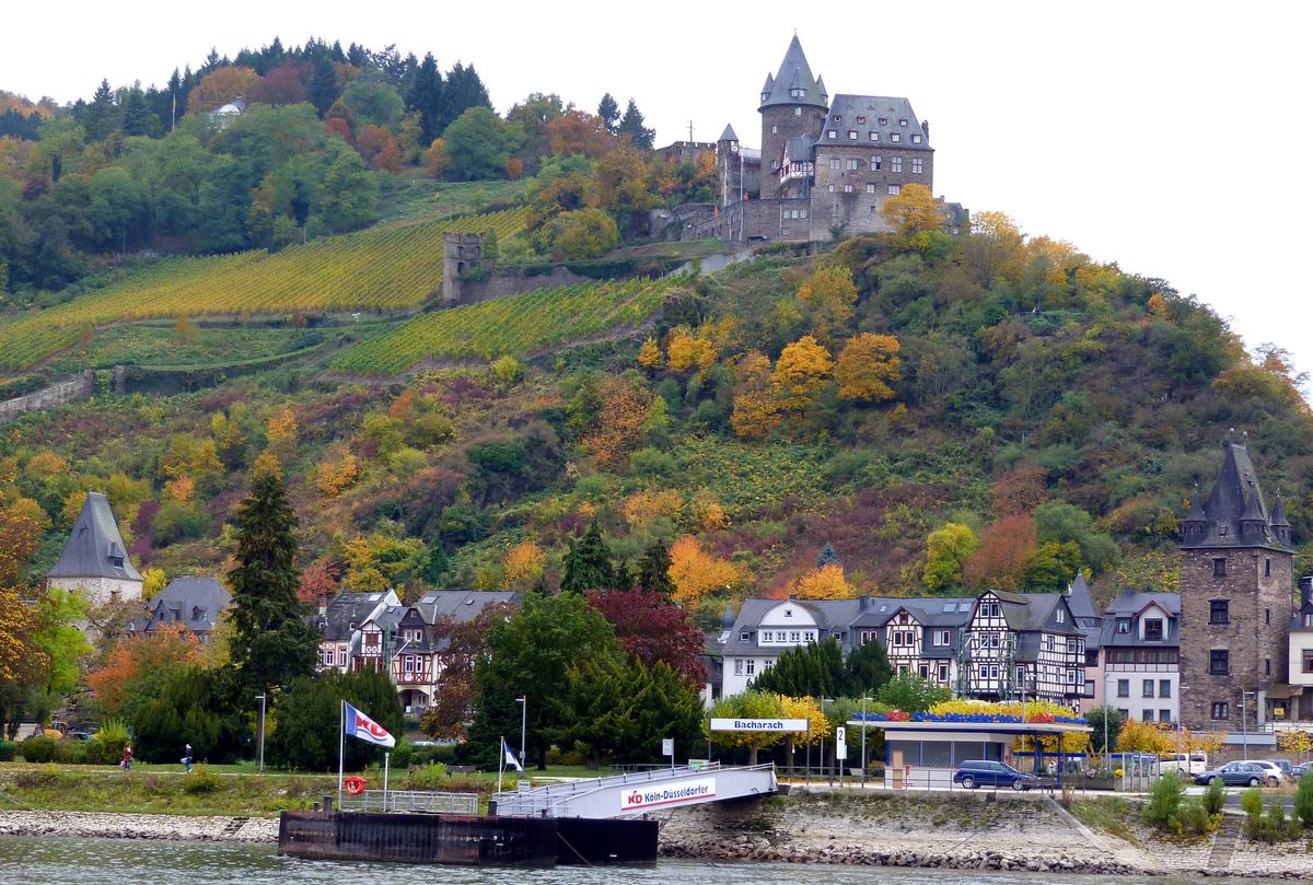 A memorable Rhine & Moselle river cruise