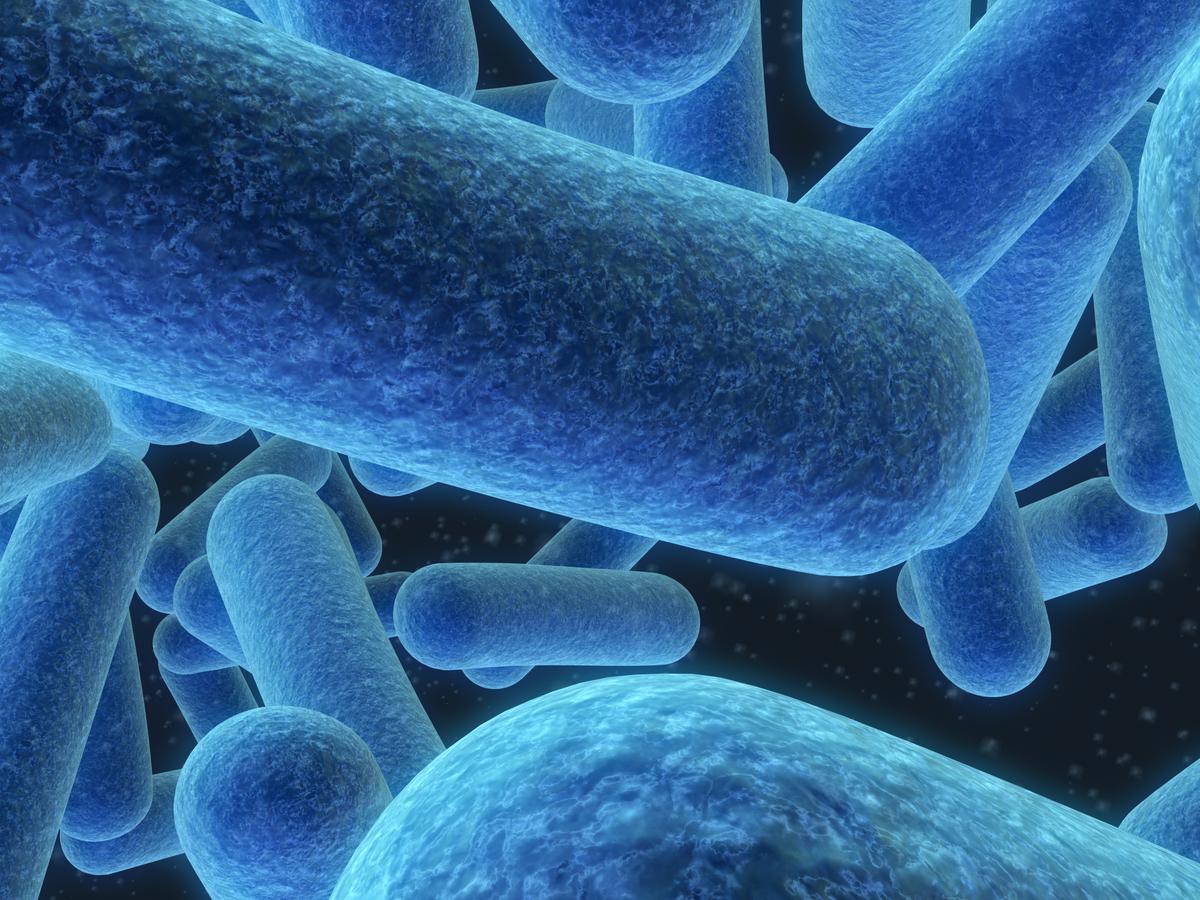 Microbiome: The Body’s Great Conductor