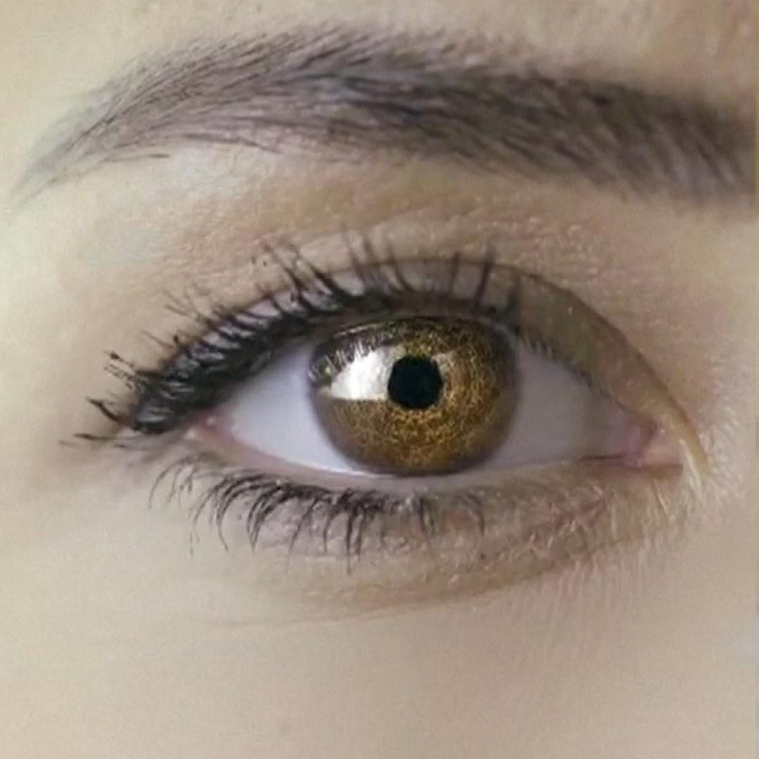 Israel Launches Fund to Invest in Spy Tech