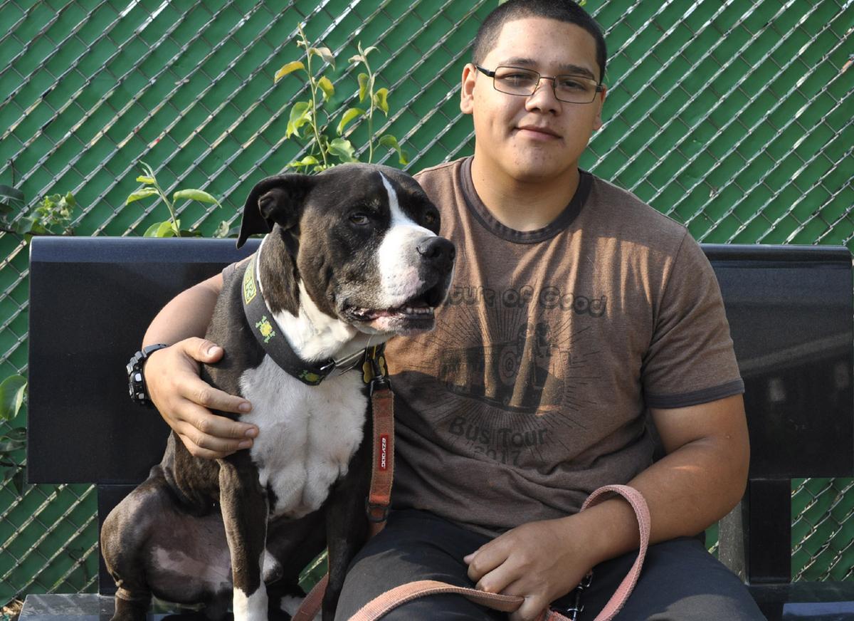Incarcerated Youth Saves Abandoned Dog—Twice
