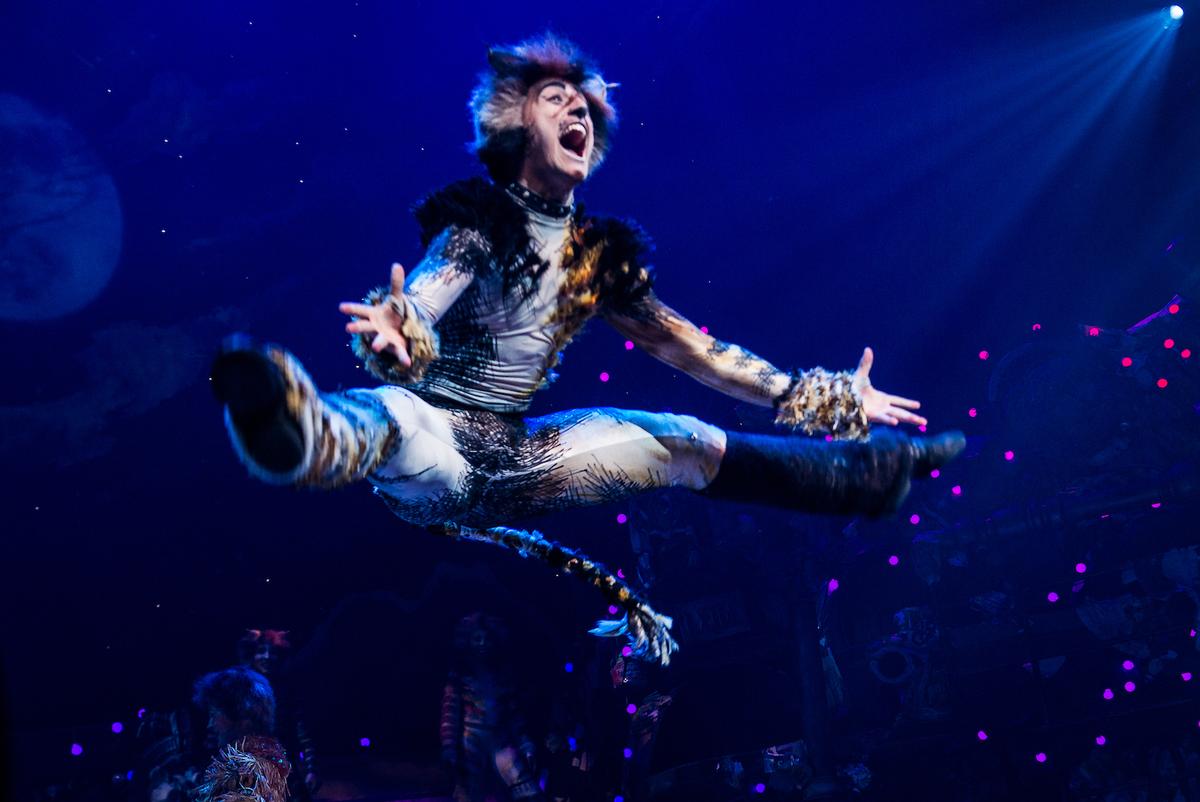 Service Dog Runs Wild at “Cats” Broadway Show