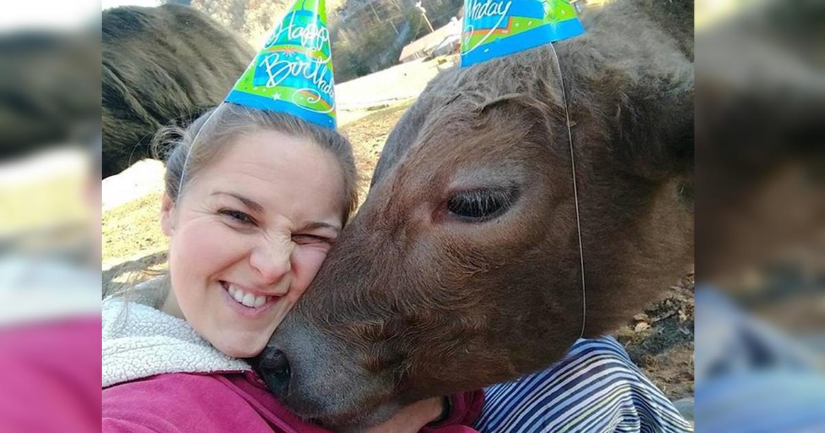 Woman tragically loses her favorite animal. Then she spots another grieving animal