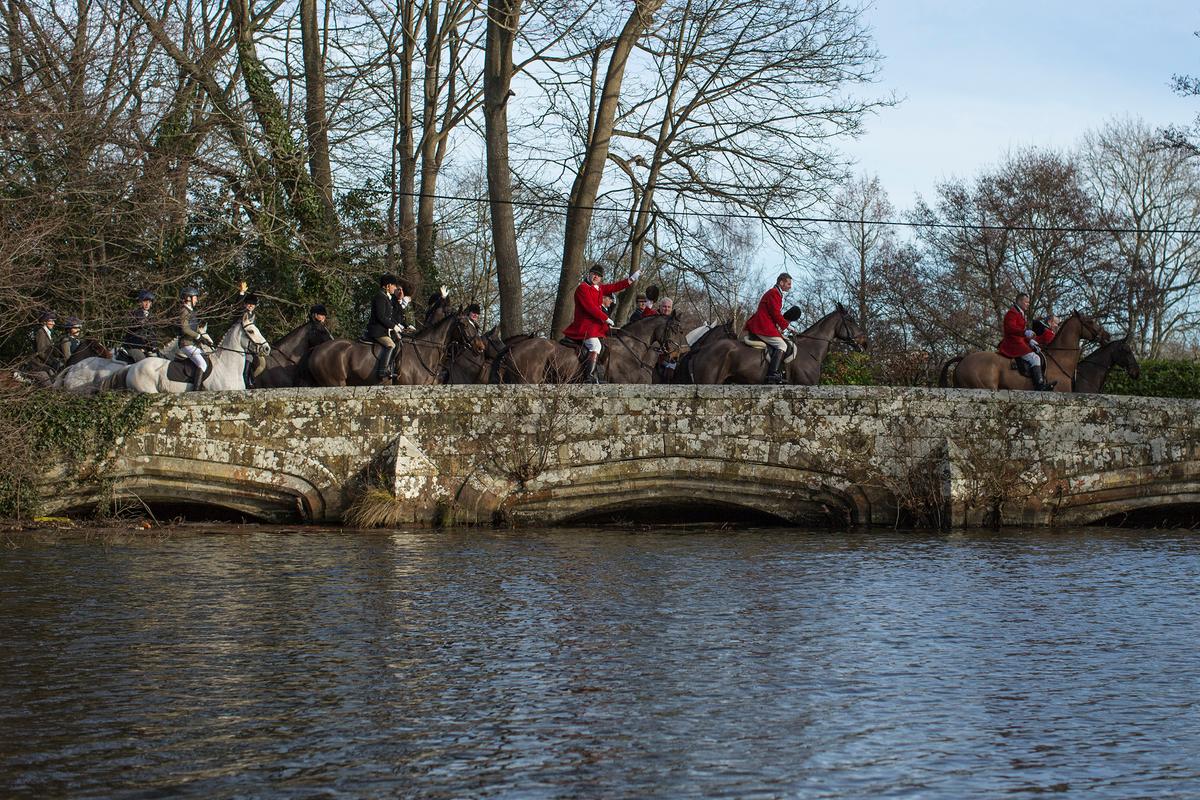 Huntswoman Who Whipped Protester After He Grabs Her Horse Will Not Be Charged