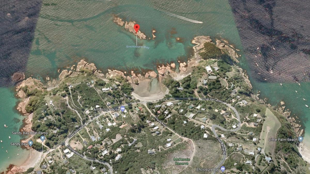 Killer Whales Sashay Around Two Children Swimming in New Zealand Bay